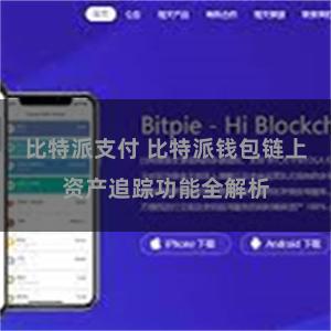 比特派支付 比特派钱包链上资产追踪功能全解析