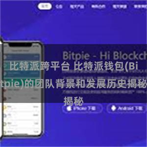比特派跨平台 比特派钱包(Bitpie)的团队背景和发展历史揭秘
