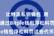 比特派私钥钱包  用户不错通过Bitpie钱包浮松科罚这些代币